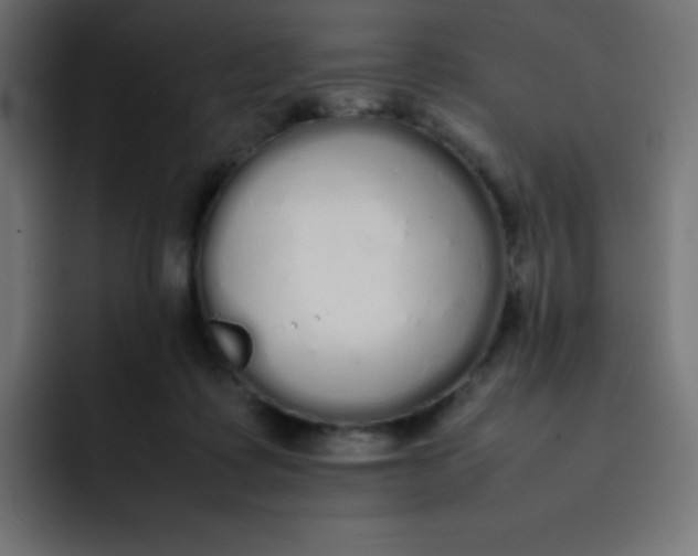 X0000092060315200710031105