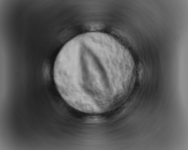 X0000092060316200710031105