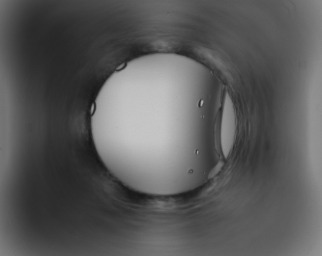 X0000092060317200710031105