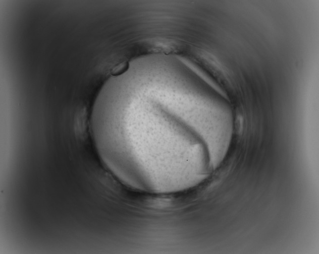 X0000092060318200710031105