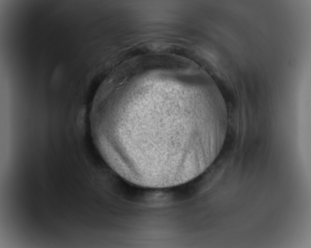 X0000092060319200710031105