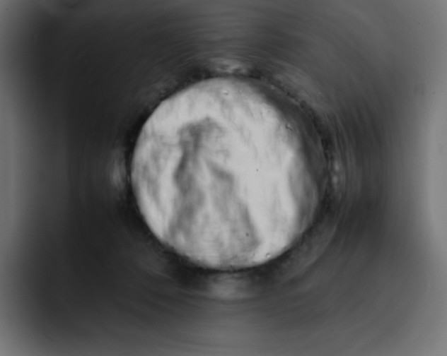 X0000092060320200710031105