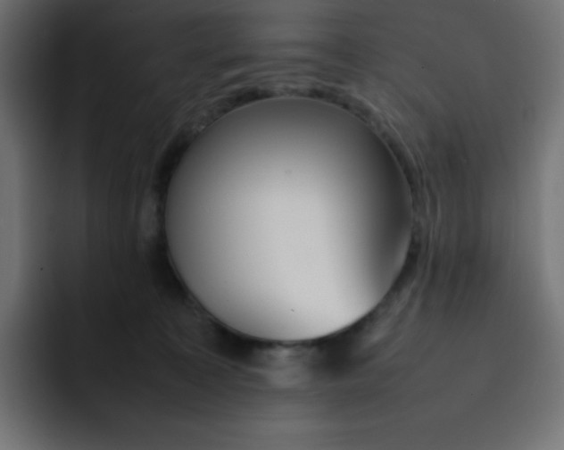 X0000092060323200710031105