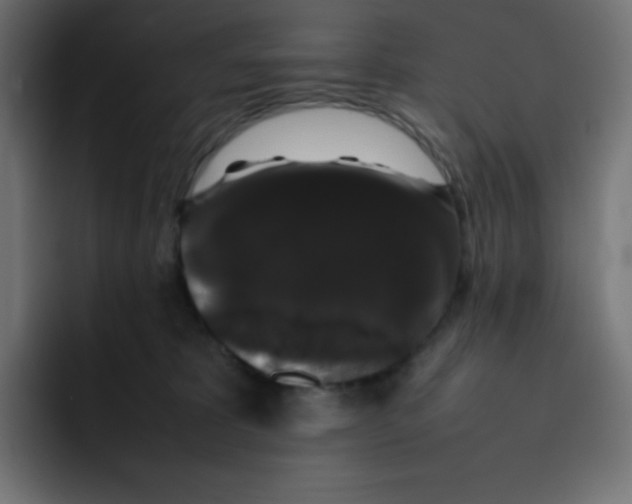 X0000092060325200710031105