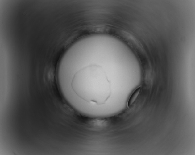 X0000092060326200710031105