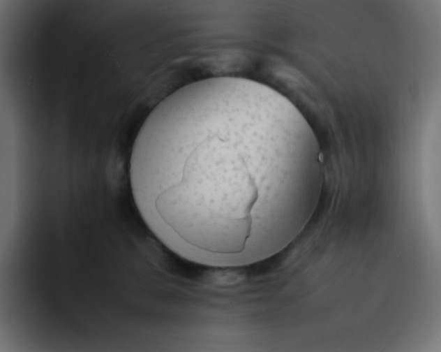 X0000092060327200710031105