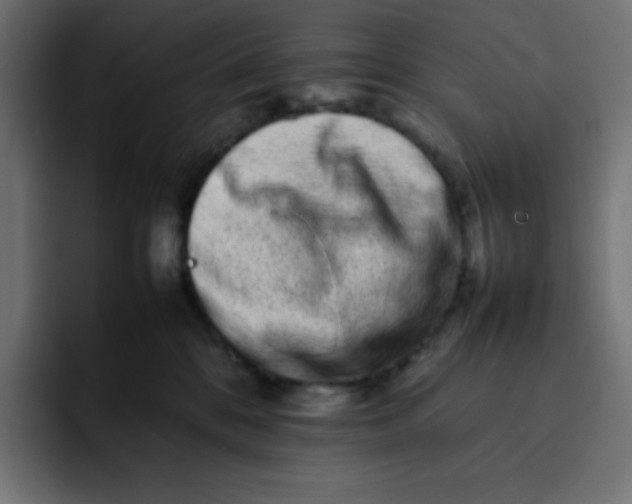 X0000092060328200710031105