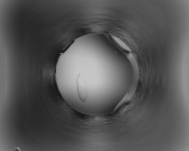 X0000092060329200710031105