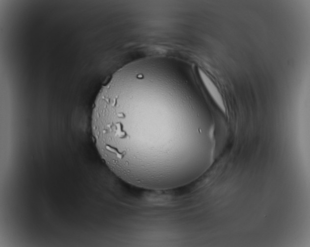 X0000092060331200710031105