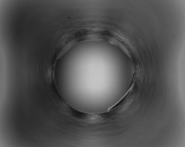 X0000092060333200710031105