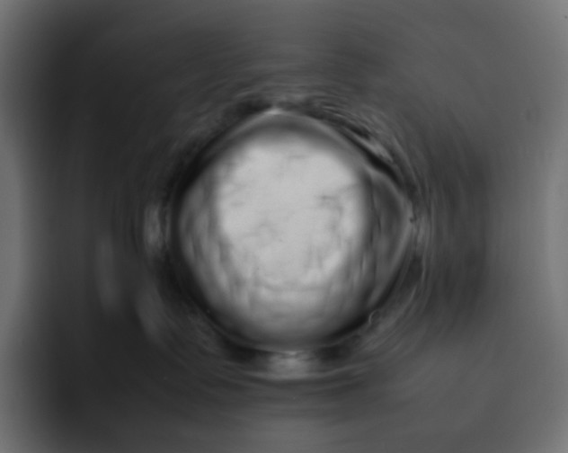 X0000092060335200710031105