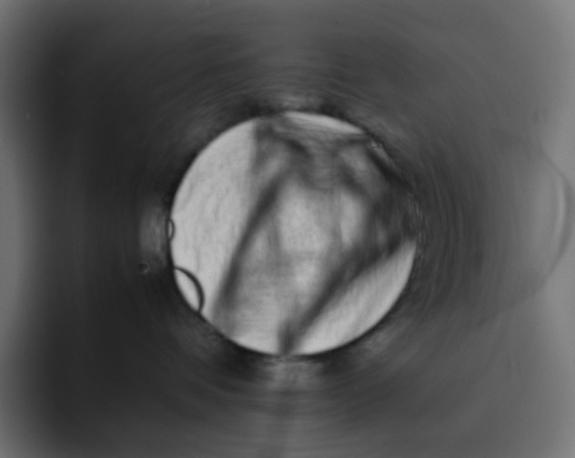 X0000092060336200710031105