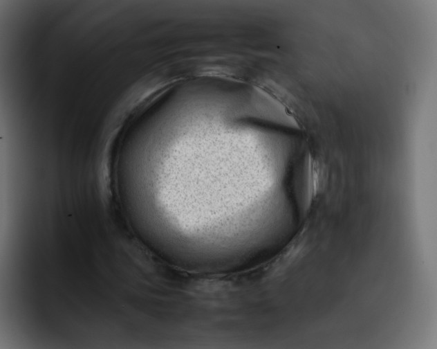 X0000092060339200710031104