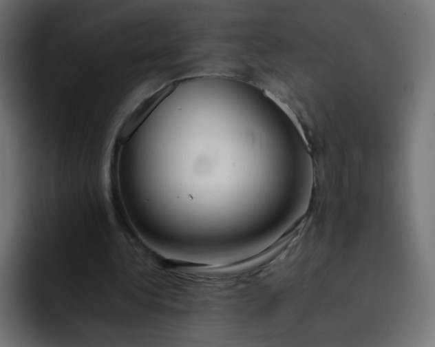 X0000092060340200710031104