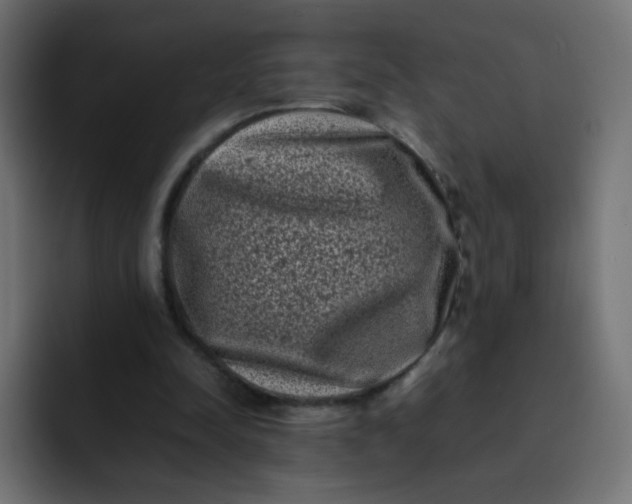 X0000092060342200710031104