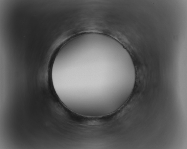 X0000092060344200710031104