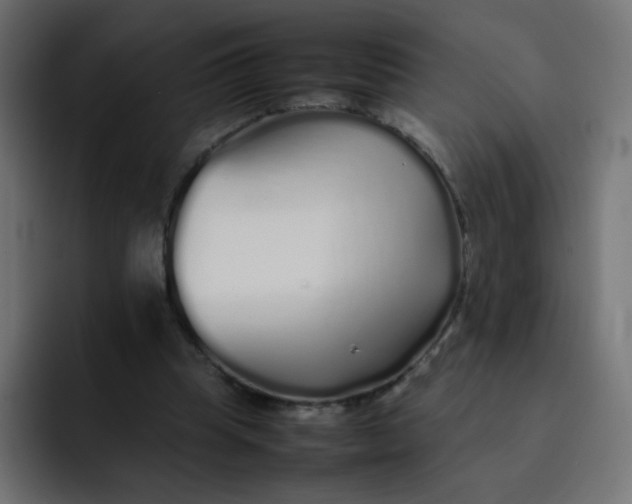 X0000092060345200710031104