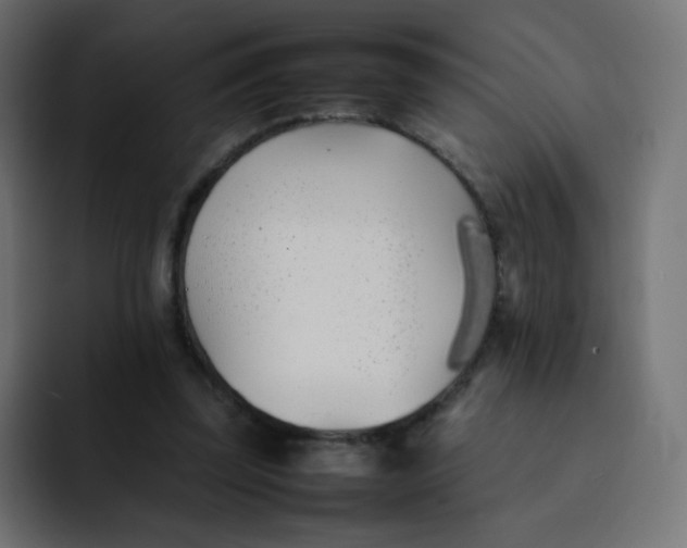 X0000092060347200710031104