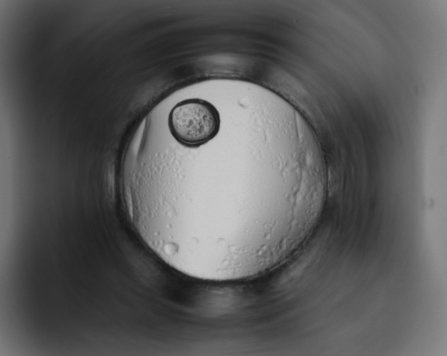 X0000092060349200710031104