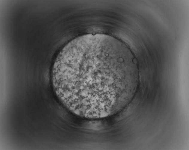 X0000092060353200710031104