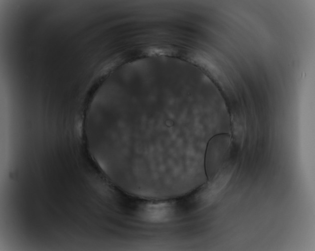 X0000092060357200710031104