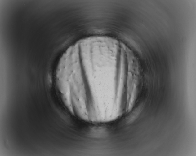 X0000092060358200710031105