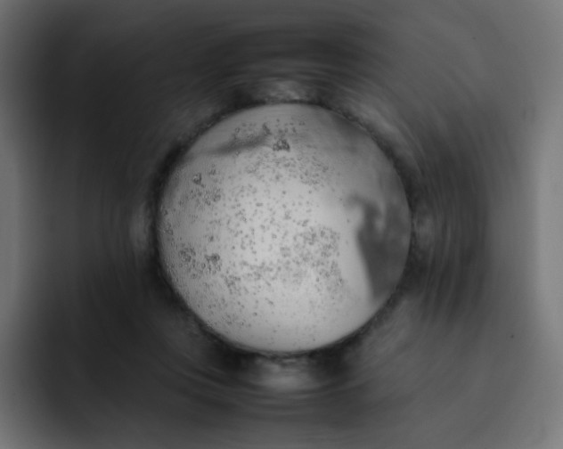 X0000092060359200710031105