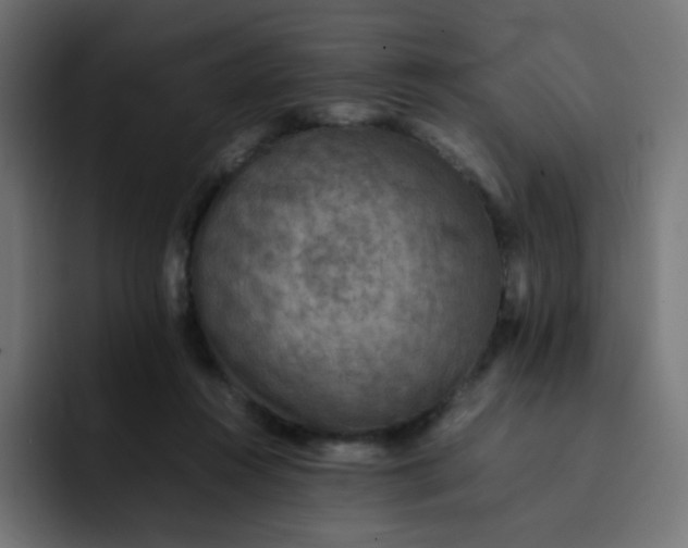 X0000092060360200710031105