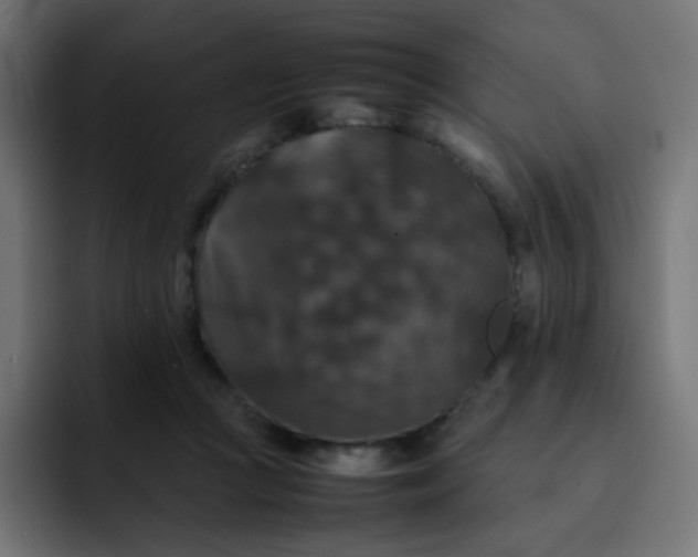 X0000092060361200710031105