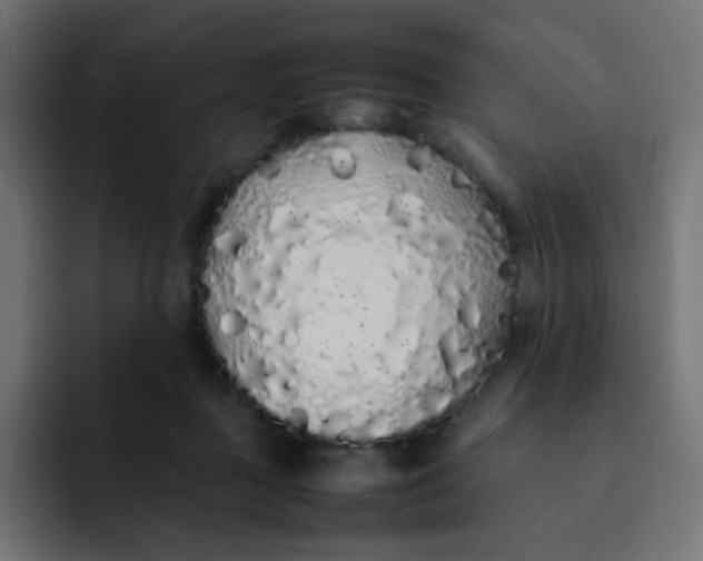 X0000092060363200710031105