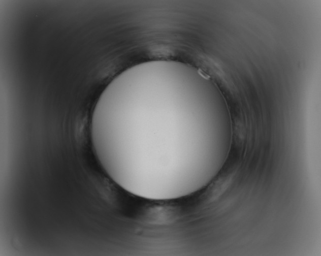 X0000092060364200710031105