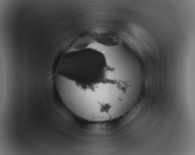 X0000092060366200710031105