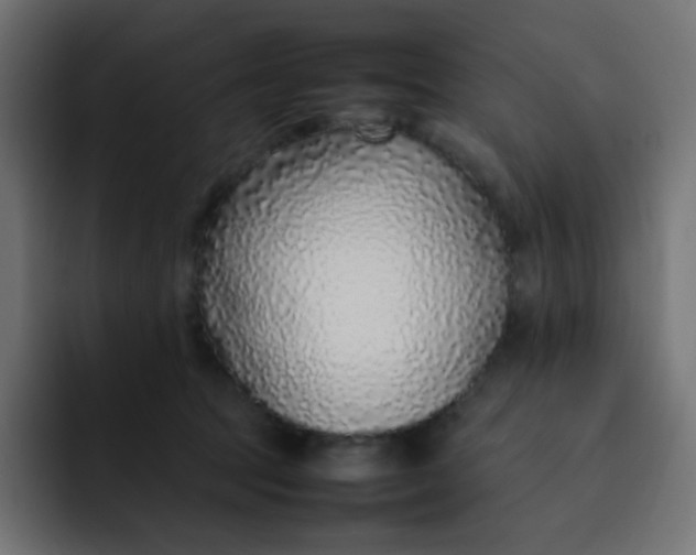 X0000092060369200710031105