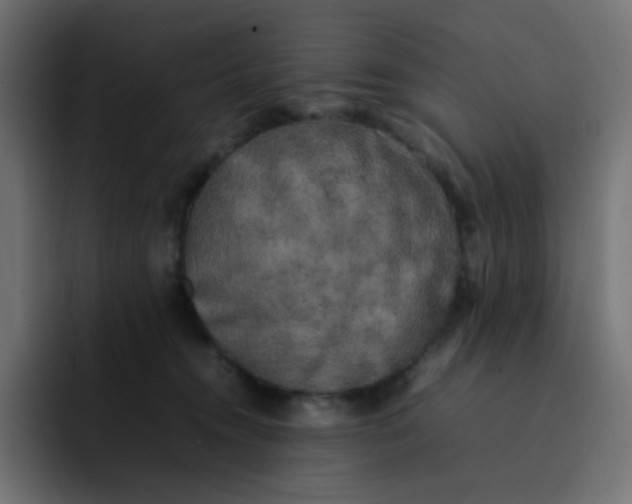 X0000092060372200710031105