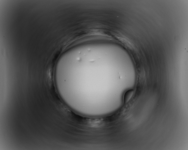 X0000092060373200710031105