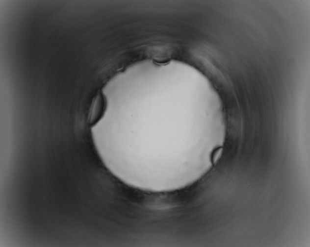 X0000092060375200710031105