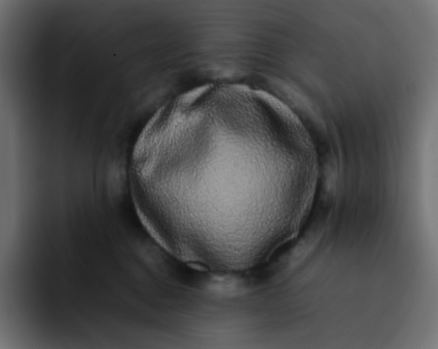 X0000092060376200710031105