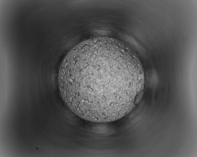 X0000092060377200710031105