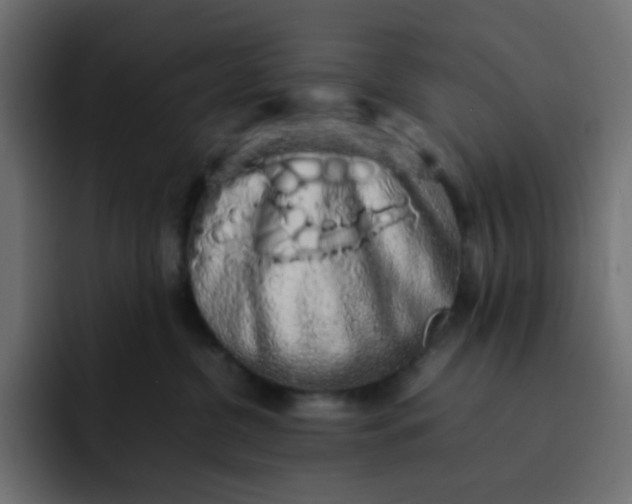 X0000092060380200710031105