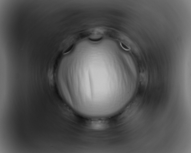 X0000092060381200710031105