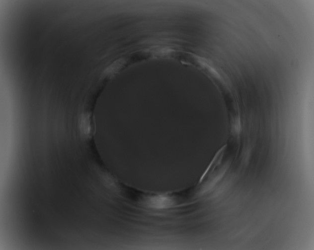 X0000092060383200710031105