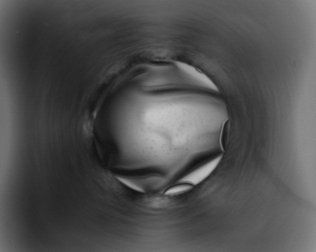 X0000092060384200710031105