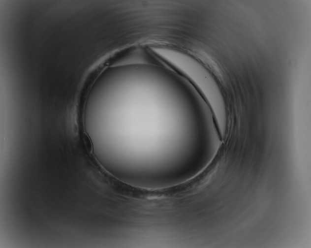 X0000092060388200710031104