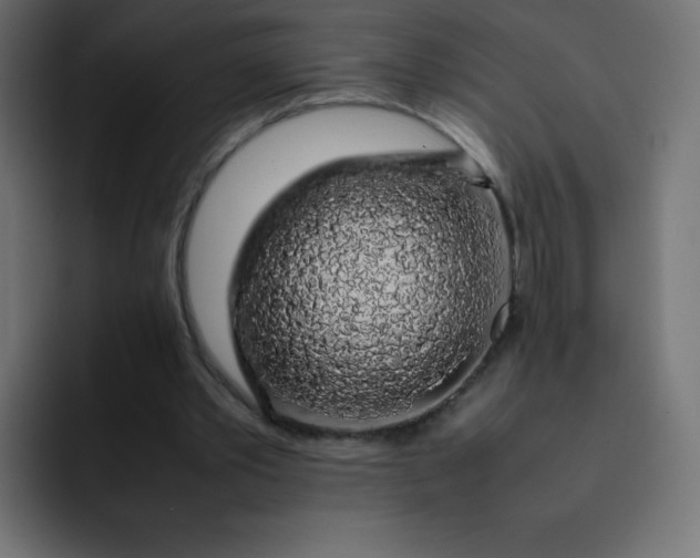 X0000092060389200710031104