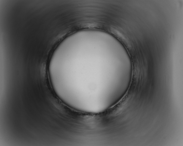 X0000092060394200710031104