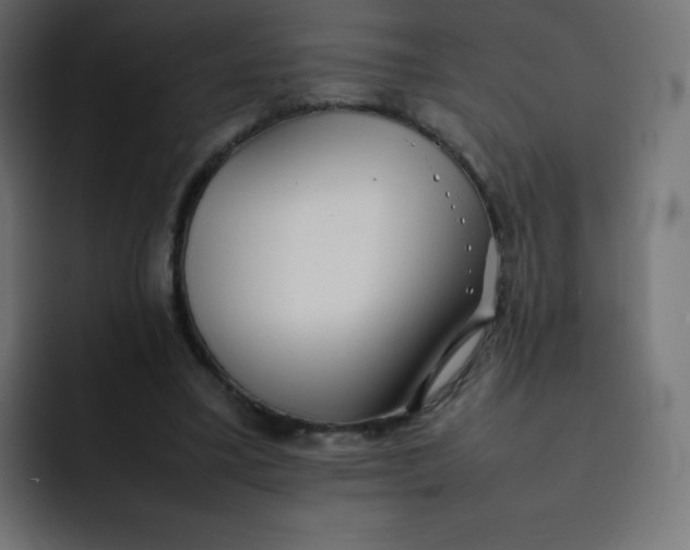 X0000092060395200710031104