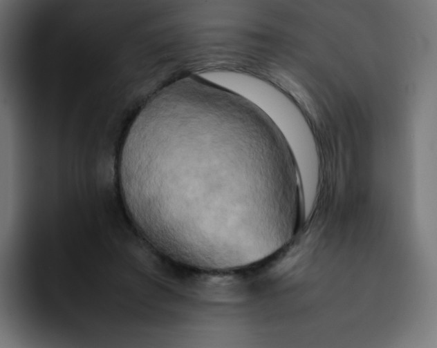 X0000092060401200710031104