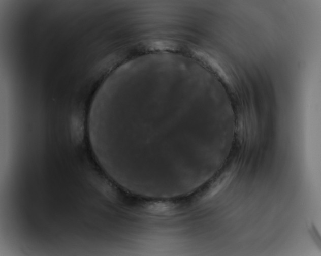 X0000092060402200710031104