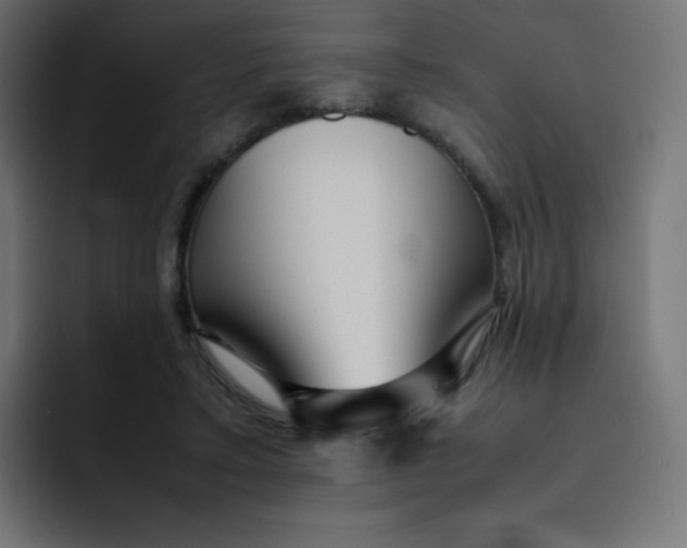 X0000092060403200710031104