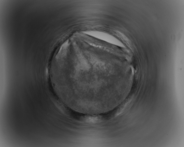 X0000092060405200710031104